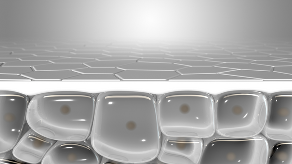 Protecting Your Skin Barrier