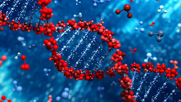 Can Carnosine Slow Aging?