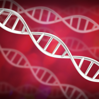 What are sirtuins and can they help us to live longer?