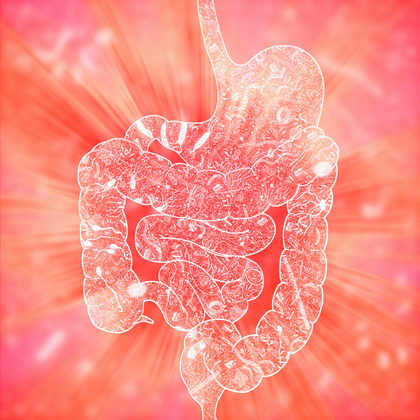 How our gut microbiome affects us as we age