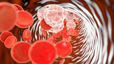 Inflammaging: Unmasking the Silent Threat to Longevity