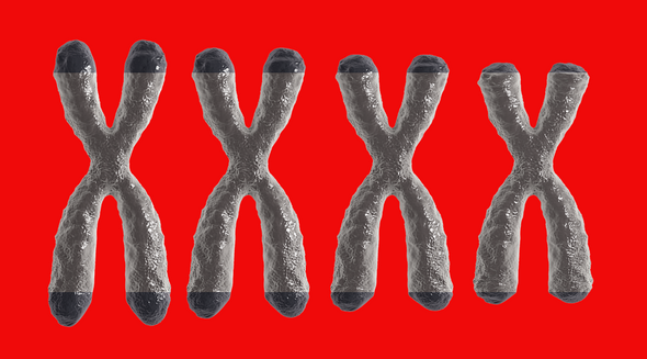 What are telomeres and how do they affect aging