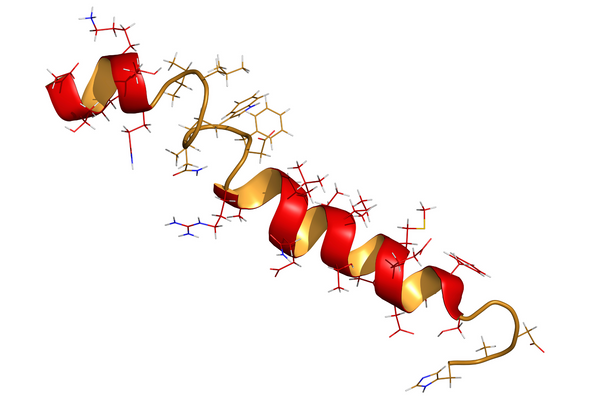 How loss of proteostasis affects aging