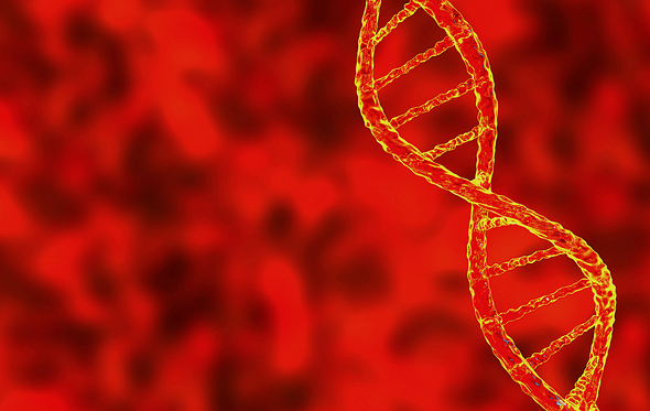 How genomic instability affects aging and what we can do to combat it