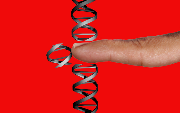 How epigenetic alterations affect aging
