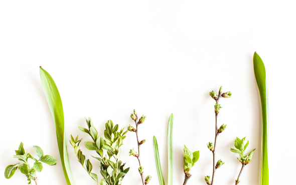 5 spring foods that are great for your skin