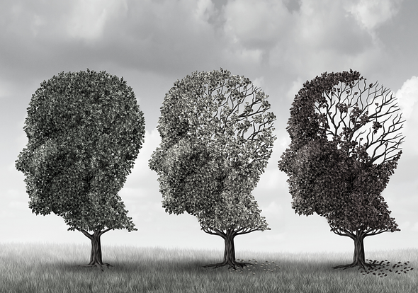 How altered intercellular communication affects aging