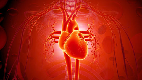 Cardiovascular benefits of semaglutide