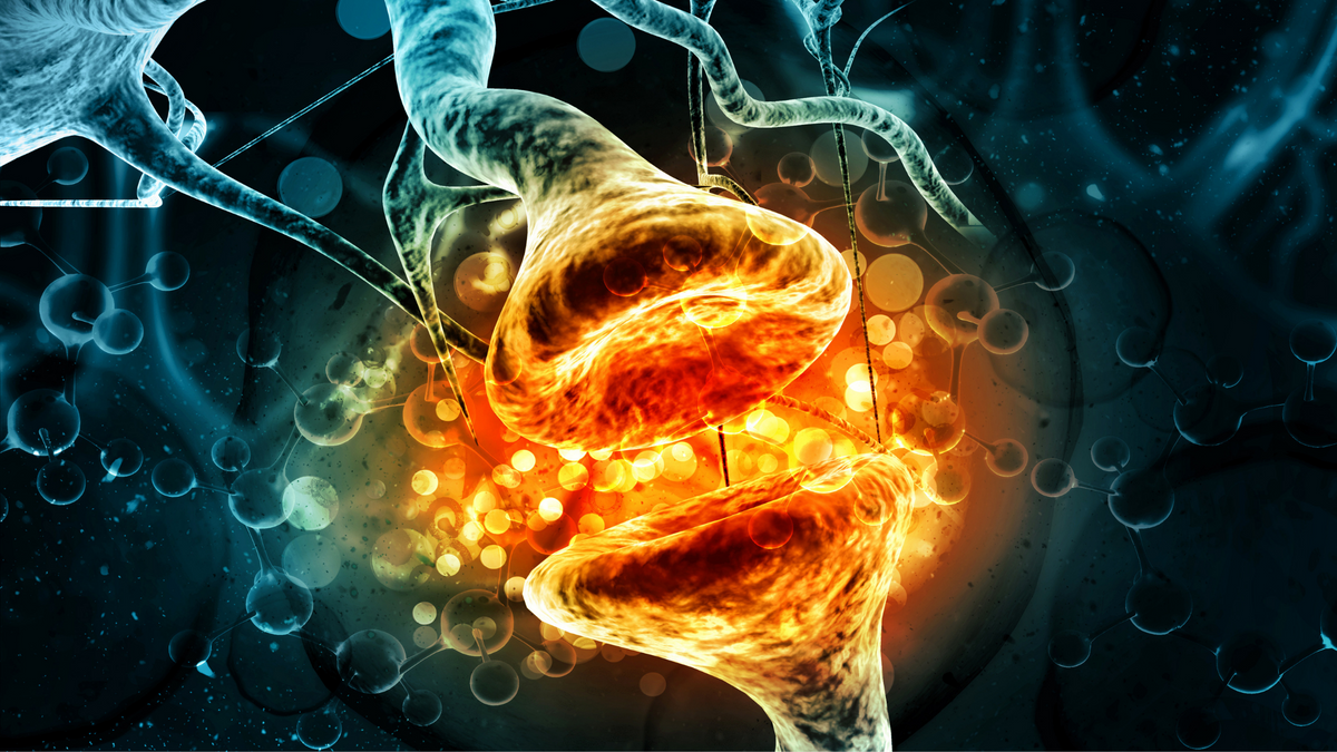 Can Hormones Cause Skin Issues? QYRAL